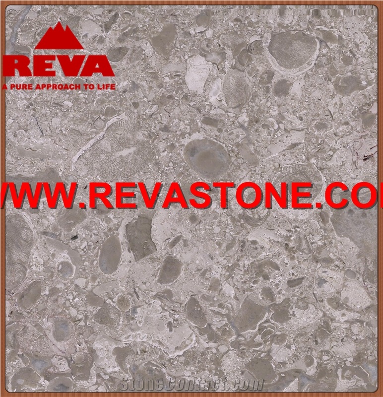 Chinese Grey Marble Work Top/Grey Color Marble Work Top/Light Grey Marble Work Top
