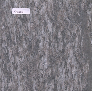 Dorato Valmalenco Gneiss Honed, Sawn Cut, Polished Tiles