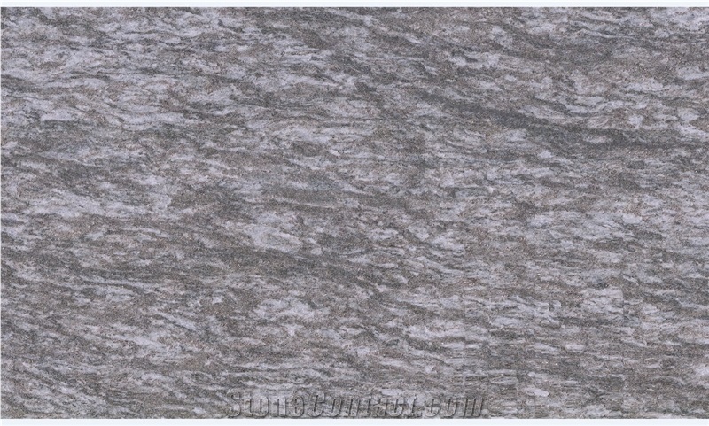 Dorato Valmalenco Gneiss Honed, Sawn Cut, Polished Tiles