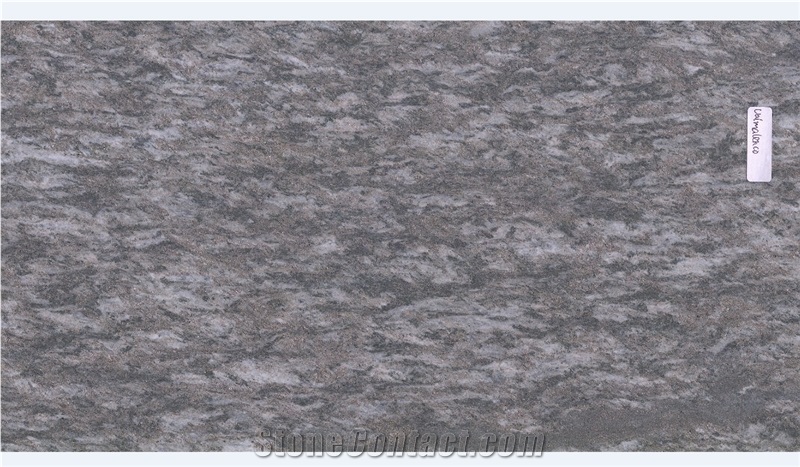 Dorato Valmalenco Gneiss Honed, Sawn Cut, Polished Tiles