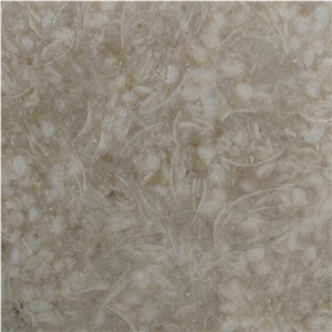 Zalat Shell Stone Tiles