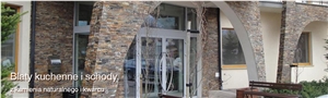 Slate Wall Cladding Ledge Stone Panel
