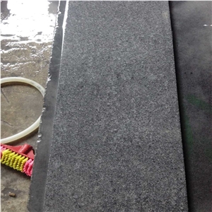 Zhangpu G654 Granite Steps,Flamed Surface G654 Granite Stair Treads,China G654 Dark Grey Granite Staircase & Stair Riser