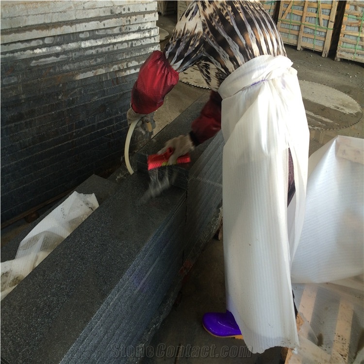Zhangpu G654 Granite Steps,Flamed Surface G654 Granite Stair Treads,China G654 Dark Grey Granite Staircase & Stair Riser