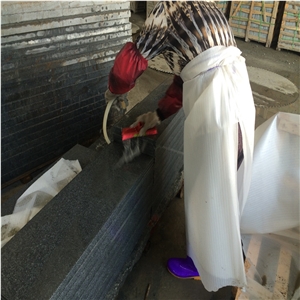 Zhangpu G654 Granite Steps,Flamed Surface G654 Granite Stair Treads,China G654 Dark Grey Granite Staircase & Stair Riser