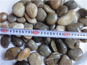 Mixed Pebble Stone , Mixed Color Aggregates, Flat Pebble , Multi Color Gravel , River Stone, Polished Pebbles, Gravel, Mixed Color Pebble Stone, Multi Color Pebble Stone