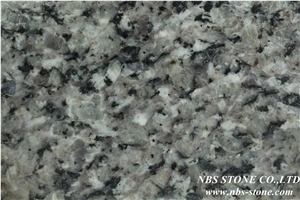 G653 Granite Slabs & Tiles,China Grey Granite Tiles for Wall G653 Granite Slabs & Tiles,China Grey Granite Tiles for Wall