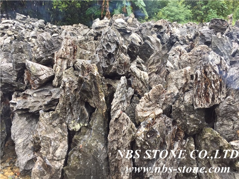 Landscaping Stone,Taihu Lake Stone,Natural Limestone Palisade
