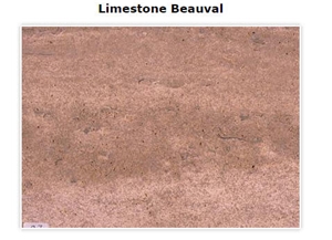 Beauval Limestone - Beauvallon Rubane Limestone