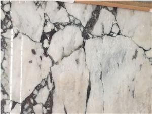 Calacatta Viola Polished Marble Tiles & Slabs