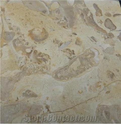 Beige Limestone Tiles