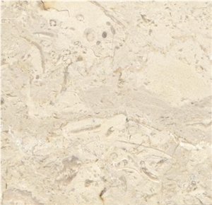 Marble Slabs & Tiles