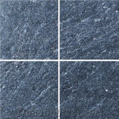 China Black Quartzite Slabs & Tiles