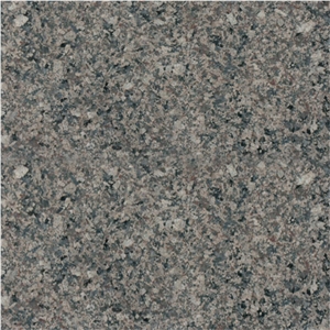 Desert Green Granite Tiles & Slabs, Green Polished Granite Flooring Tiles