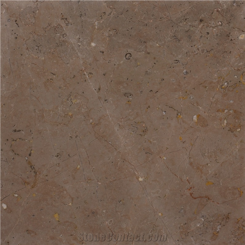 Meteor Limestone Polished Tiles & Slabs, Brown Limestone Floor Tiles & Wall Tiles