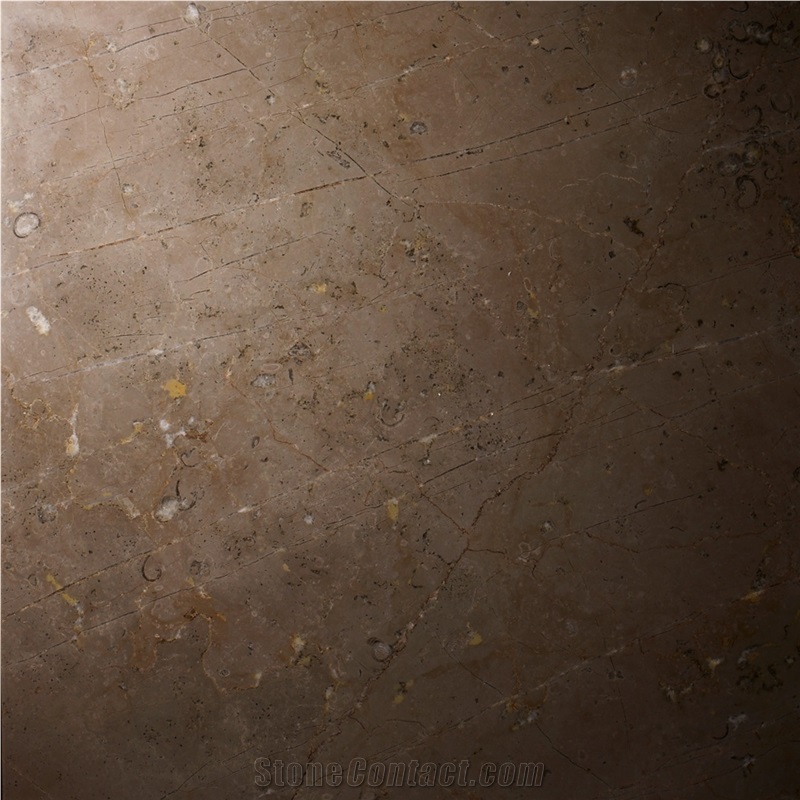 Meteor Limestone Polished Tiles & Slabs, Brown Limestone Floor Tiles & Wall Tiles