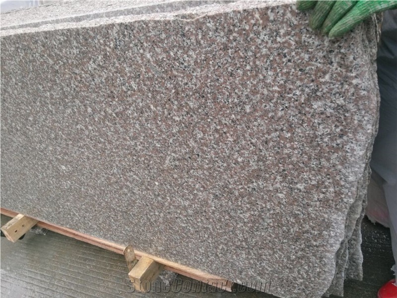 G664 Granite Polished Slabs with Promotion Price, G664 Granite Slabs & Tiles