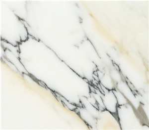Paonazzo Marble Slabs & Tiles, Italy White Marble