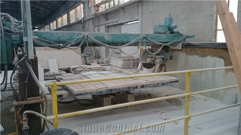 Used Bridgesaw Gregori