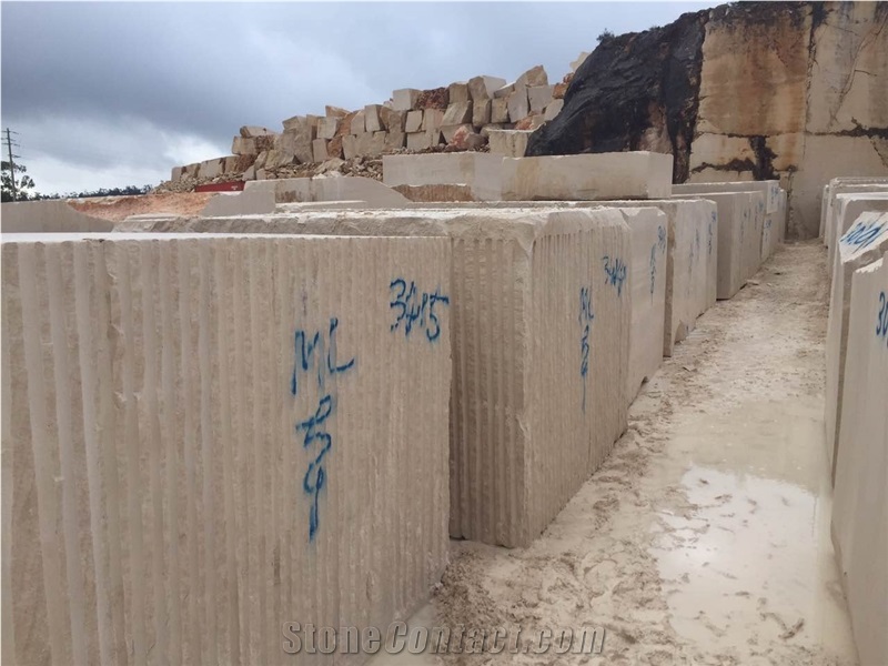 Own Factory Portugal Beige Limestone Slabs & Tiles / Creme Coral Stone Slabs