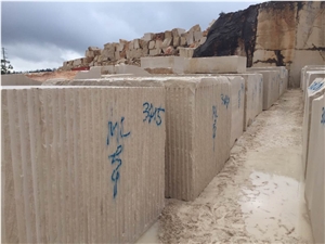 Own Factory Portugal Beige Limestone Slabs & Tiles / Creme Coral Stone Slabs