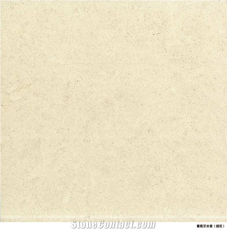 Own Factory Portugal Beige Limestone Slabs & Tiles / Creme Coral Stone Slabs