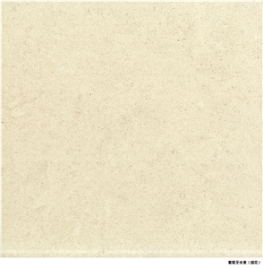 Own Factory Portugal Beige Limestone Slabs & Tiles / Creme Coral Stone Slabs