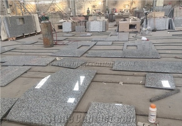 G439 Graite Countertop,China Sardo Flower White Granite,China Grey Granite Benchtop,Kitchen Worktops