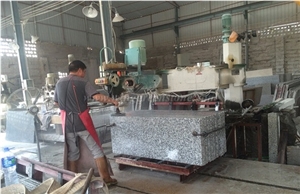 G439 Graite Countertop,China Sardo Flower White Granite,China Grey Granite Benchtop,Kitchen Worktops