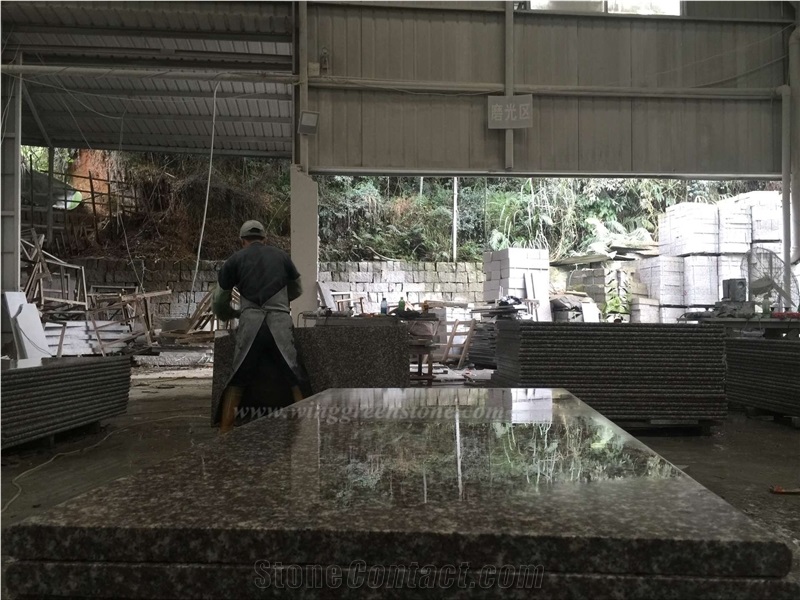 Own Factory Supply Of High Quality Polished G664 Granite/Luo Yuan Red Granite/ Brainbrook Brown Granite/Black Spots Brown Granite/China Pink for Kitchen Countertops, Winggree Stone