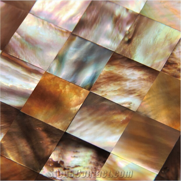 Natural Sea Shell Cladding,Penguin Sea Shell Decorative Wall Mosaic Panel,Square Shaped Sea Shell Mosaic Pattern Wall Cladding for Interior Wall Decor