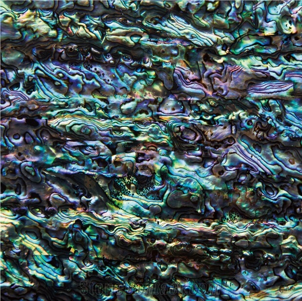 Natural Sea Shell Mosaic,Abalone Sea Shell Wall Mosaic Pattern,Elegant Sea Shell Wall Claddings