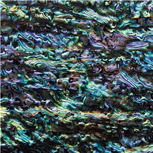 Natural Sea Shell Mosaic,Abalone Sea Shell Wall Mosaic Pattern,Elegant Sea Shell Wall Claddings Natural Sea Shell Mosaic,Abalone Sea Shell Wall Mosaic Pattern,Elegant Sea Shell Wall Claddings
