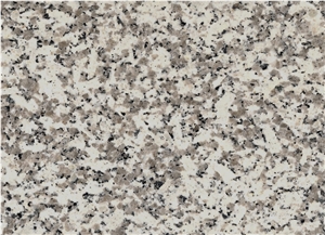Branco Coral Granite Polished Tiles, Slabs, Grey Granite Floor Tiles, Wall Tiles