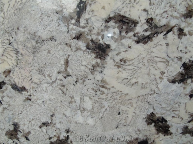 Everest White Slabs