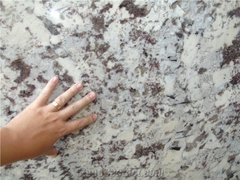 Splendor White 2cm Slabs