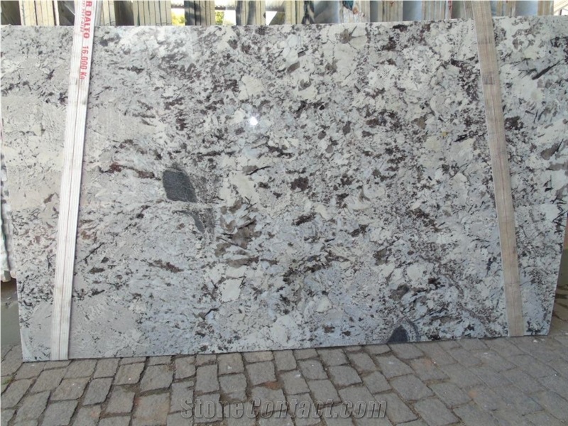 Splendor White 2cm Slabs