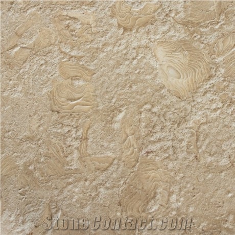 Shells Reef Coral Stone Floor Tiles