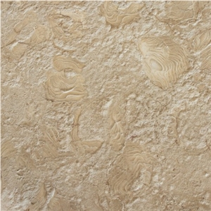Shells Reef Coral Stone Floor Tiles