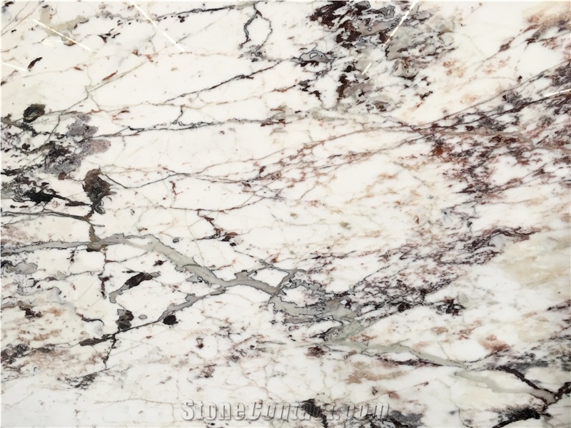 Calacatta Capri Marble Slabs