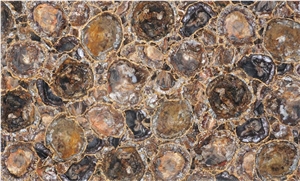 Petrified Wood Semiprecious Stone Slabs, Brown Semiprecious Stone Tiles & Slabs