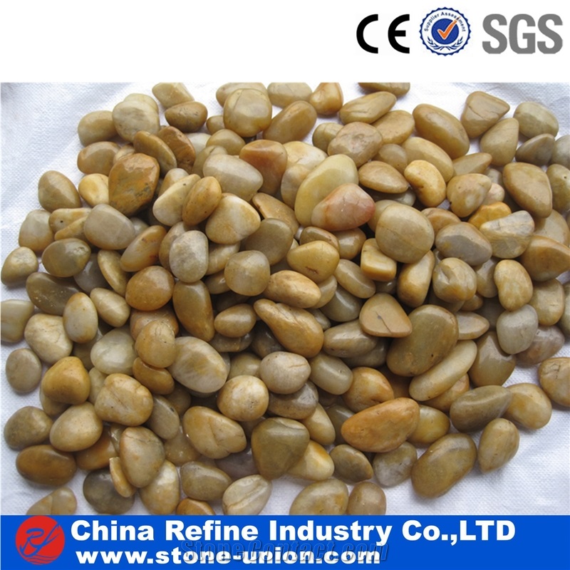 High Quality Yellow River Pebble,Polished Natural River Pebble,Yellow Pebble Tile for Ground