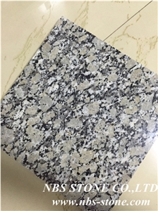 Golden Autumn Grain Granite Tile, China Yellow Granite Tiles Golden Autumn Grain Granite Tile, China Yellow Granite Tiles