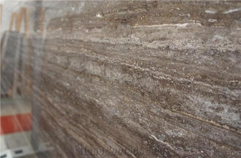 Silver Travertine Titanium