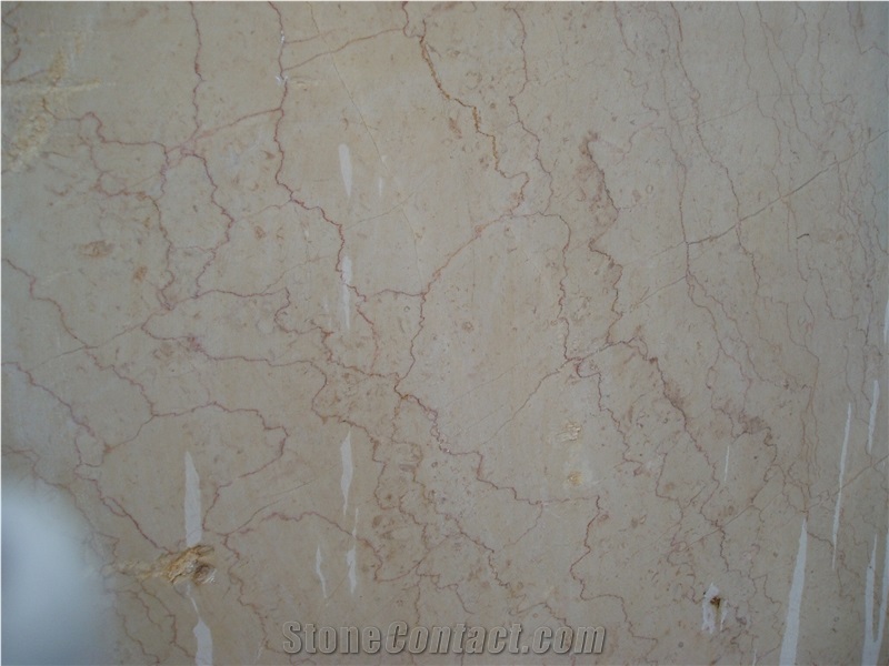 Shell Beige Marble Slabs China Natural Stone