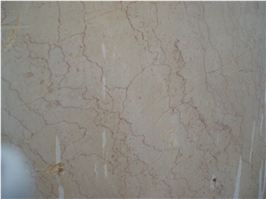 Shell Beige Marble Slabs China Natural Stone