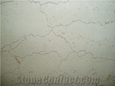 Shell Beige Marble Slabs China Natural Stone