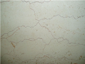 Shell Beige Marble Slabs China Natural Stone