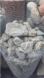 Gneis Tumbled Wood Stone, Wood Stone Pebbles