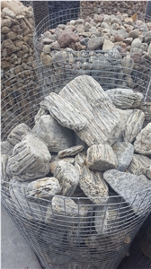 Gneis Tumbled Wood Stone, Wood Stone Pebbles